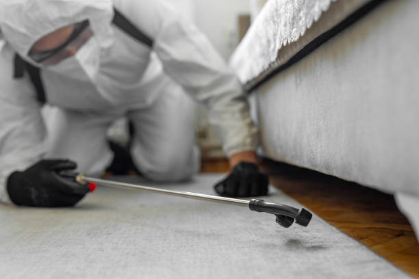 Professional Cockroach Control technician working in East Dundee, IL